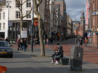 Man using local search directory listings for small businesses on city street bench.