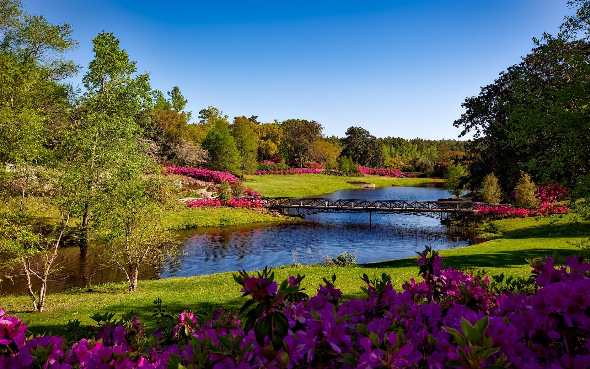 SEO article writers for a landscaping business brainstorming on golf course with purple flowers.