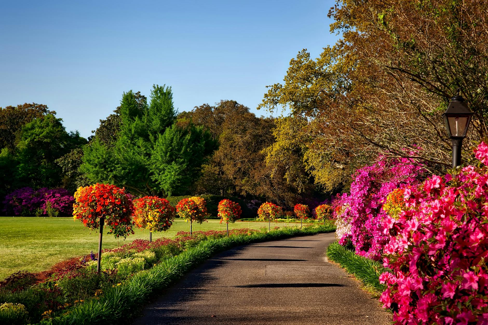 AI SEO content writing for landscaping with pathway lined by vibrant flowers.