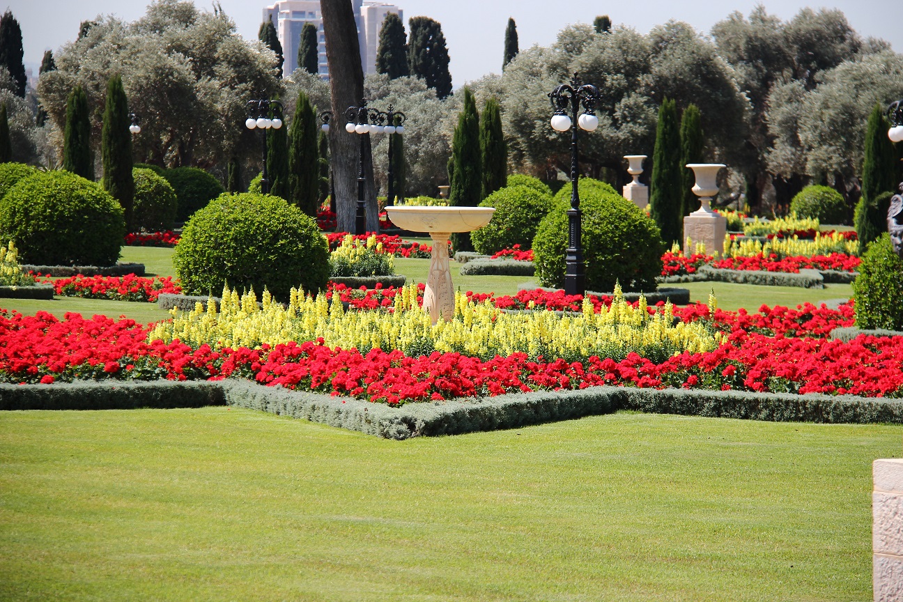 Red and yellow flowers in garden for landscaping business blog post ideas.