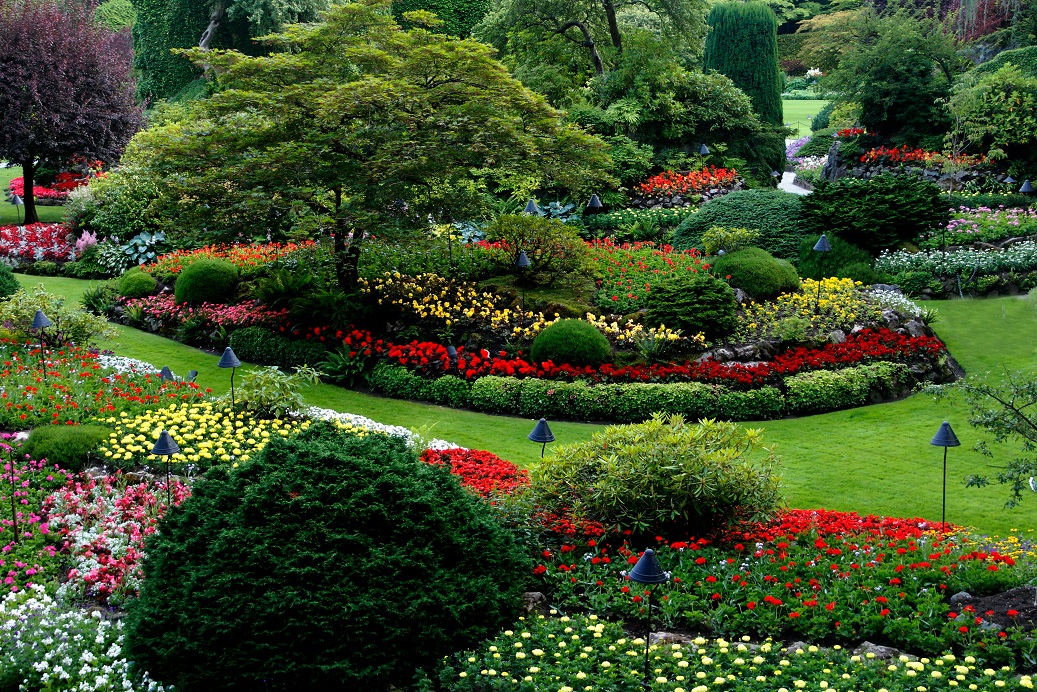 SEO article writing services for landscaping businesses improving garden varieties.